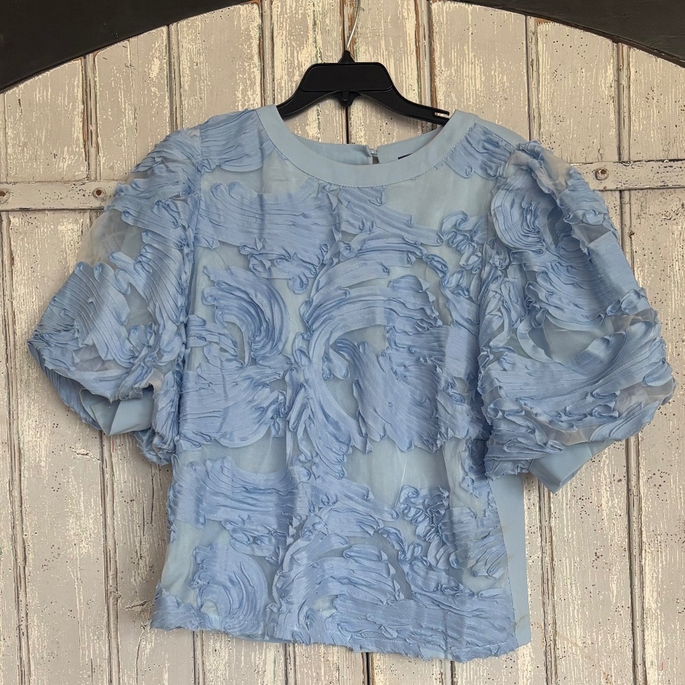 Light Blue Puffy Sleeve Blouse NWT